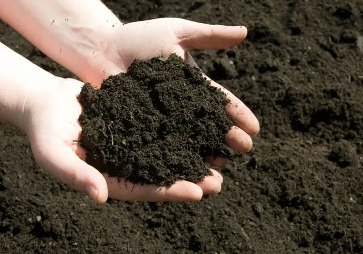 loam soil types